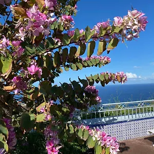 https://sofia-santa-ursula-tenerife.tenerifehoteles.net